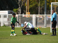 05818E24-4F25-466F-AA74-73674C074773