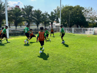 0B0C0661-B500-4E18-9058-5B646A664590