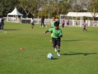 4B79723E-958C-4F08-93C3-1D3EFB24B1DC