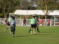 66AE8FD9-47F6-486D-95C4-39035EA7FE32