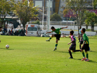 CE3A7A0B-162C-4F5B-8FC9-ADB7BA9677B2