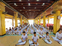 0943DD34-4CF5-45B8-A823-E7505B075A1B