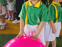 D56D3BD3-0B9F-42B8-BF3B-6E0958220163