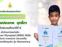 สีชมพู สีขาว เรียบง่าย ทันสมัย แสดงความยินดี แบนเนอร์ - 2