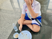 8BC1746C-7D6B-4C8A-A738-82A41D392EFE