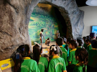 497CD7C4-3D59-4360-A7F8-6FFF77D23553