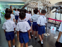 6A1E927D-7FFE-404F-9228-55D7E769938F