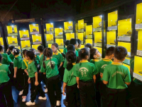 95EEA3C8-B2DB-4E60-93C8-98EBCD834FD4