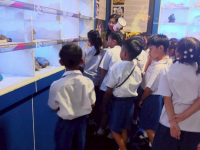 DE5A6D29-7B7D-4452-A069-3244876D39B2