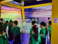 E31B171B-3E2A-4F9D-8FEE-09BE205283B1