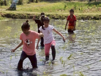 012ED39D-9DC3-4D94-A469-FB5DD2631C25