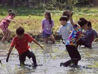 492024BD-A4D6-4C61-B5B6-DD67D46A29A7