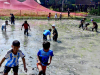 644C4466-D176-49E9-8E29-545D121E66E8