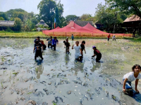 68B8E001-3AD7-4981-A15A-5613B37C656C