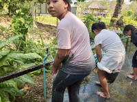 7B3235A8-B40F-442D-AA45-A4C25FF22510