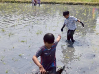 83914623-8367-4A99-BEC2-7C83CCDA0B47