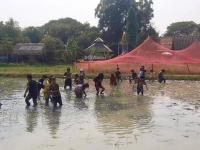 9284F286-F43A-411B-B41E-381116147D43