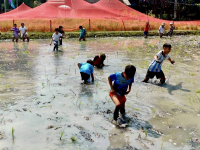 A35599CC-E7D0-422E-8762-4B448967B3D4