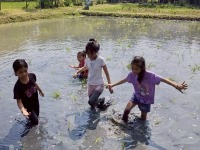 A6666B15-64A0-4A94-BBB4-3C62AEDEAFB8