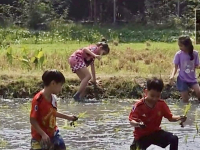 CECCEEAE-F847-4556-8861-4079A7D26D94