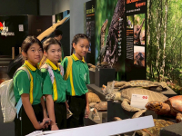 11F5A02E-00DF-4931-90D4-1CD82FF7B6FE