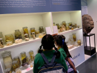 1BE321F2-96DD-46D3-94EB-8366E9FFD338