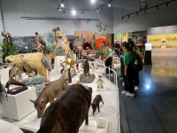 8FD76120-896D-44F0-9DC1-34CA767FF362