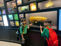 BB1B279F-E5F8-4B27-A7CC-EA9E86191ECA