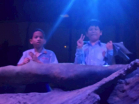 D8EAC2FC-B49E-48DB-BEA0-63D00E8F5C76