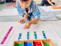 A5FB086D-F163-4ABA-B0AB-0E06CD913FCE