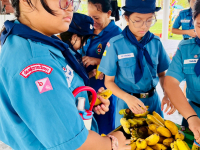 0B75458E-1BFB-44EA-979F-205DDC73A22B