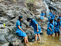 40123070-9F42-4D71-82E2-7814ADEE4D1D