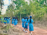 44E0D3DD-2D46-41BB-A940-FAE369BF15AA