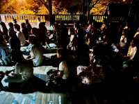 8DDB8FDB-12A4-4D44-8753-E03F231306D7