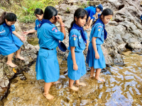 A2FF9AC5-A3C6-4257-B46A-8951284E41A6